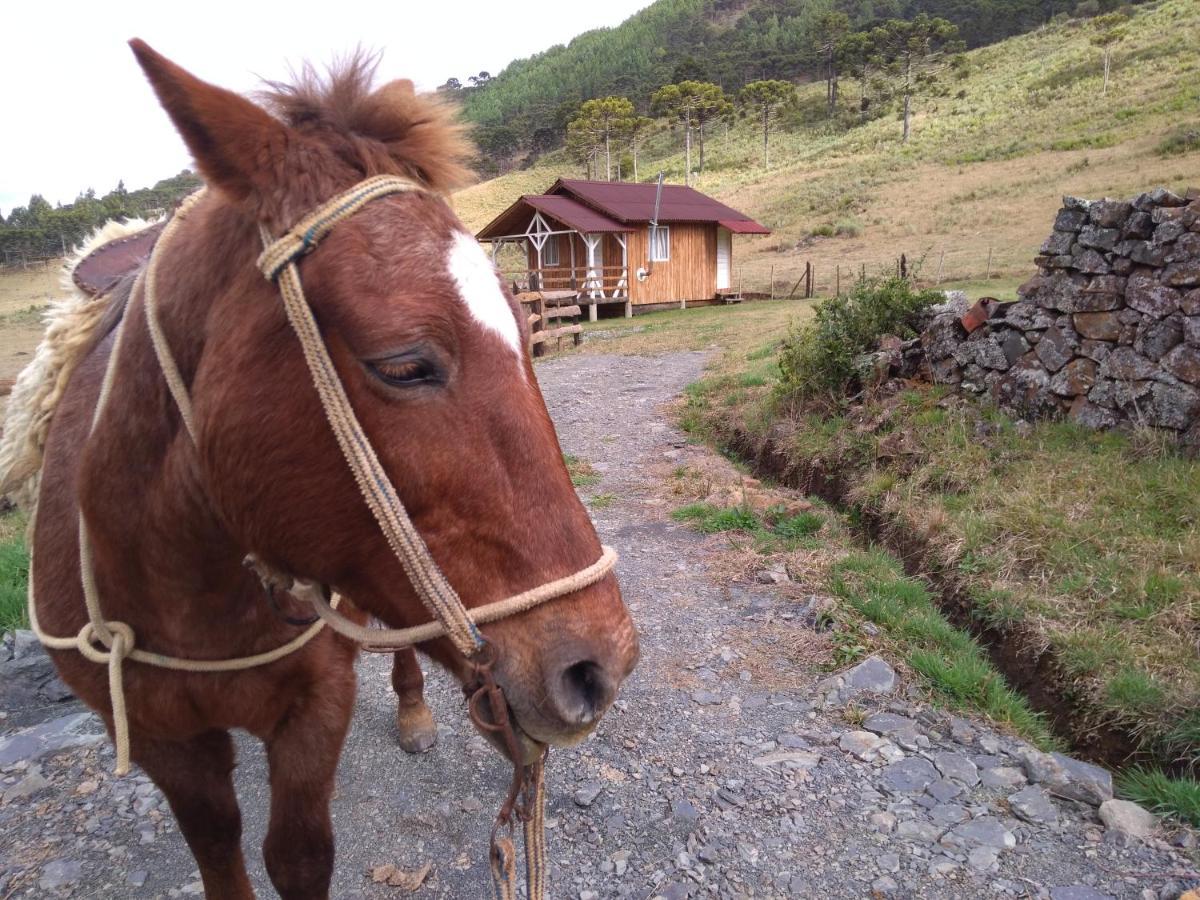 Cabanas Fazenda Da Raia Urubici Dış mekan fotoğraf